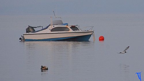 Boat in a sea