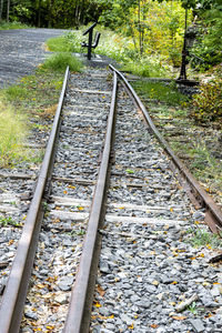 Railroad track amidst trees in forest