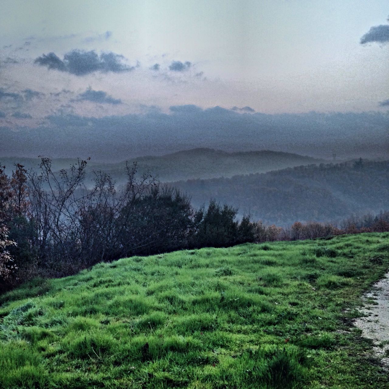 tranquil scene, tranquility, grass, landscape, scenics, beauty in nature, sky, field, nature, tree, mountain, grassy, non-urban scene, weather, growth, fog, countryside, idyllic, green color, water