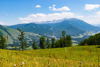 Scenic view of field against cloudy sky