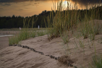 Scenic view of beach against sky during sunset