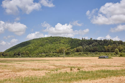 Scenic view of field against sky