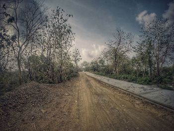 Road amidst trees against sky