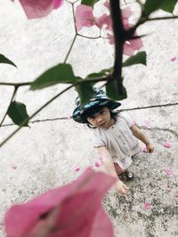 High angle view of girl holding pink flower
