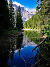 Scenic view of lake by trees against sky