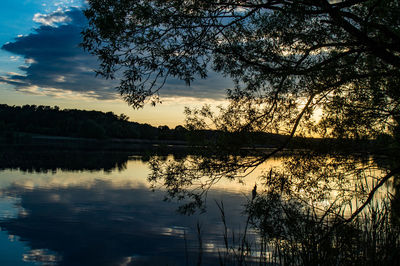 Silhouette trees by lake against sky during sunset