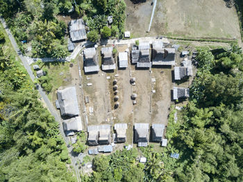 High angle view of trees and buildings