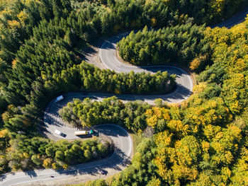 High angle view of road amidst trees