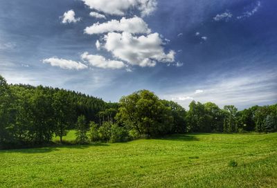 Scenic view of trees on field against sky