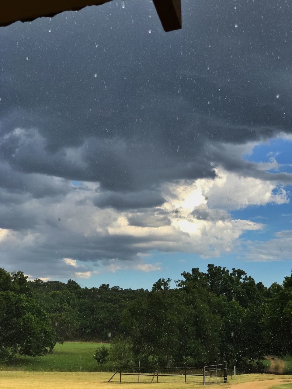 tree, sky, nature, cloud - sky, beauty in nature, no people, outdoors, scenics, day, water