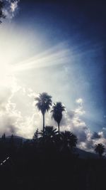 Low angle view of silhouette palm trees against sky