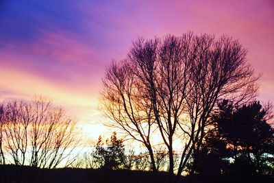 Silhouette bare trees against sky during sunset