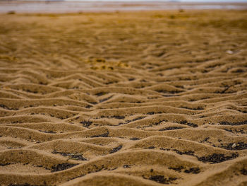 Surface level of sandy beach