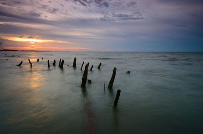 Wooden posts in sea against sky during sunset