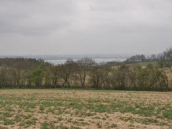 Scenic view of landscape by sea against sky