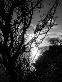 Low angle view of bare trees against sky