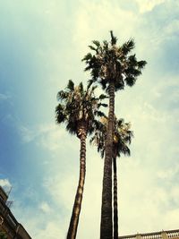 Low angle view of palm trees against cloudy sky