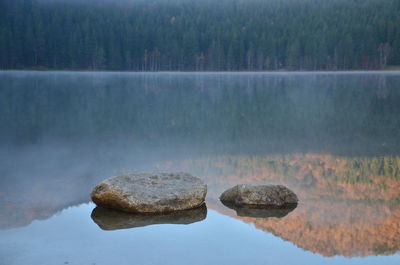 Scenic view of lake