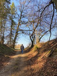 Rear view of man walking on street amidst trees