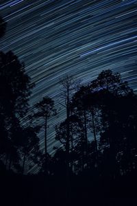 Low angle view of silhouette trees against sky at night