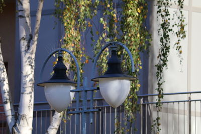 Close-up of street light against wall