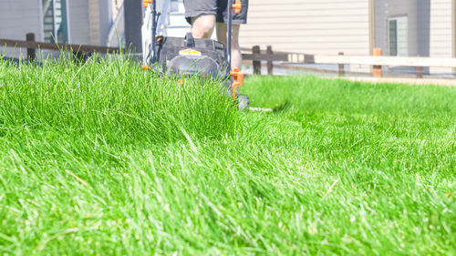 Low section of man standing on grassy field