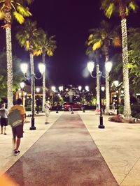 Rear view of people walking on illuminated street at night