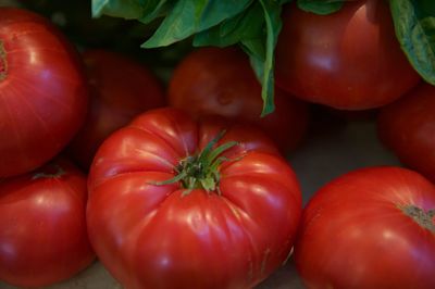 Full frame shot of tomatoes