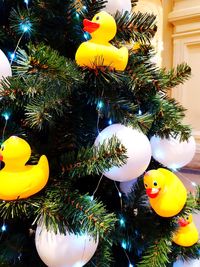 Close-up of christmas tree
