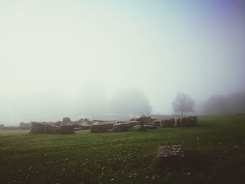 Hay bales on field against sky