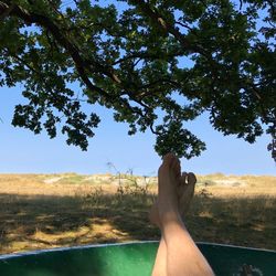 Low section of person on tree against sky