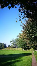 Trees growing on landscape against clear sky