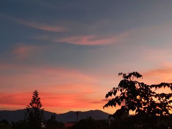 Silhouette tree against dramatic sky during sunset