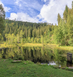 Scenic view of lake by trees against sky