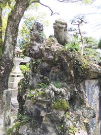 Low angle view of bird perching on statue against trees