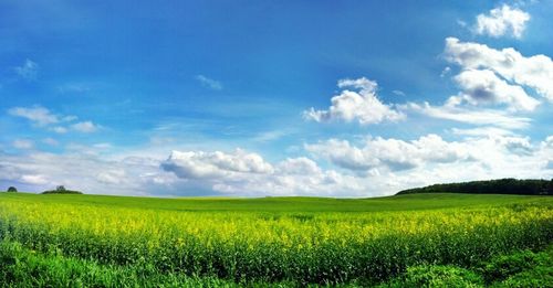 Scenic view of field against cloudy sky