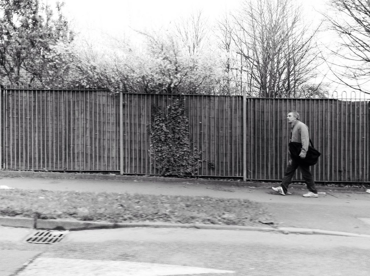 full length, lifestyles, walking, leisure activity, men, rear view, building exterior, tree, built structure, architecture, street, side view, person, bare tree, bicycle, casual clothing, on the move