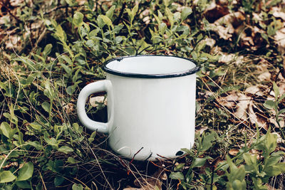 Close-up of coffee cup on field