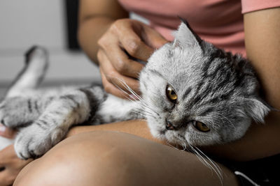 Midsection of person holding cat relaxing on bed