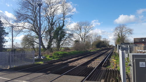 Railroad tracks amidst bare trees against sky