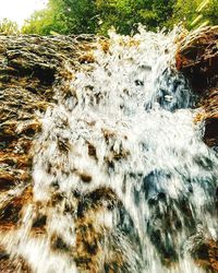 Close-up of waterfall against trees