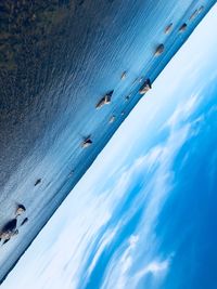 High angle view of people swimming in sea