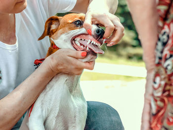 Midsection of man holding dog