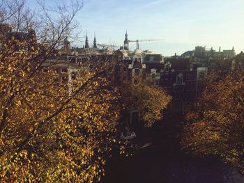 Buildings in city