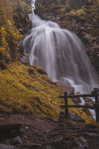 Scenic view of waterfall in forest