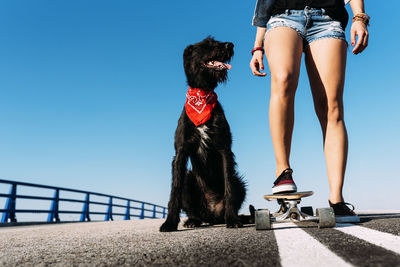 Low section of woman with dog against sky