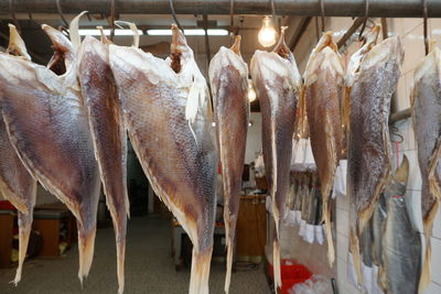 View of fish for sale at market stall