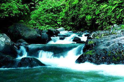 Stream flowing through rocks in forest