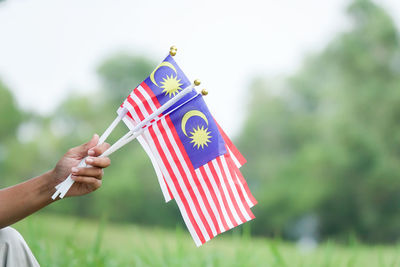 Cropped hands holding malaysian flags against trees