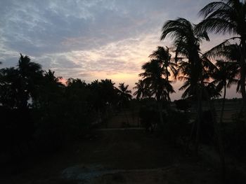 Palm trees against sky during sunset